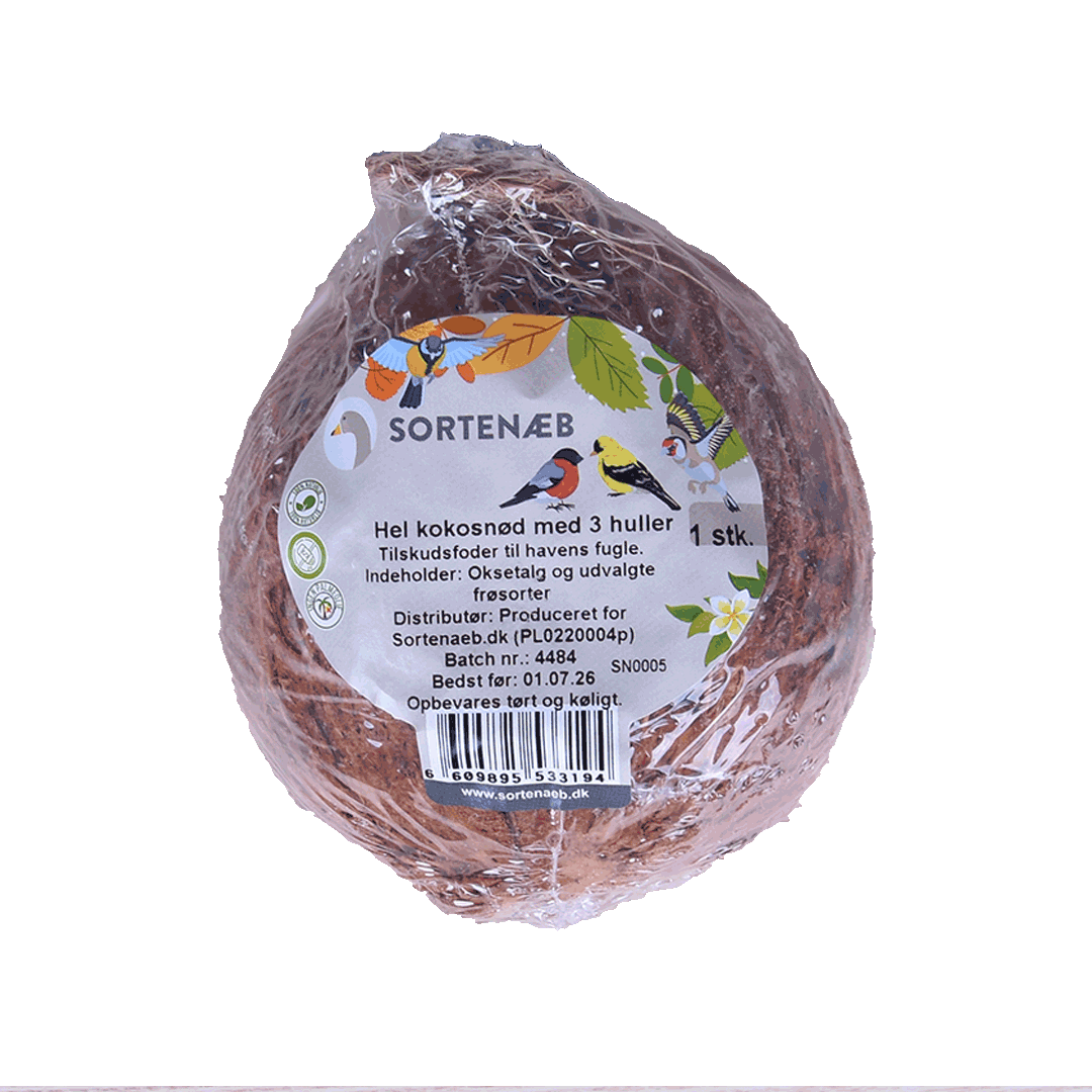 Sortenæb hele kokosnoot met 3 openingen – 350 g