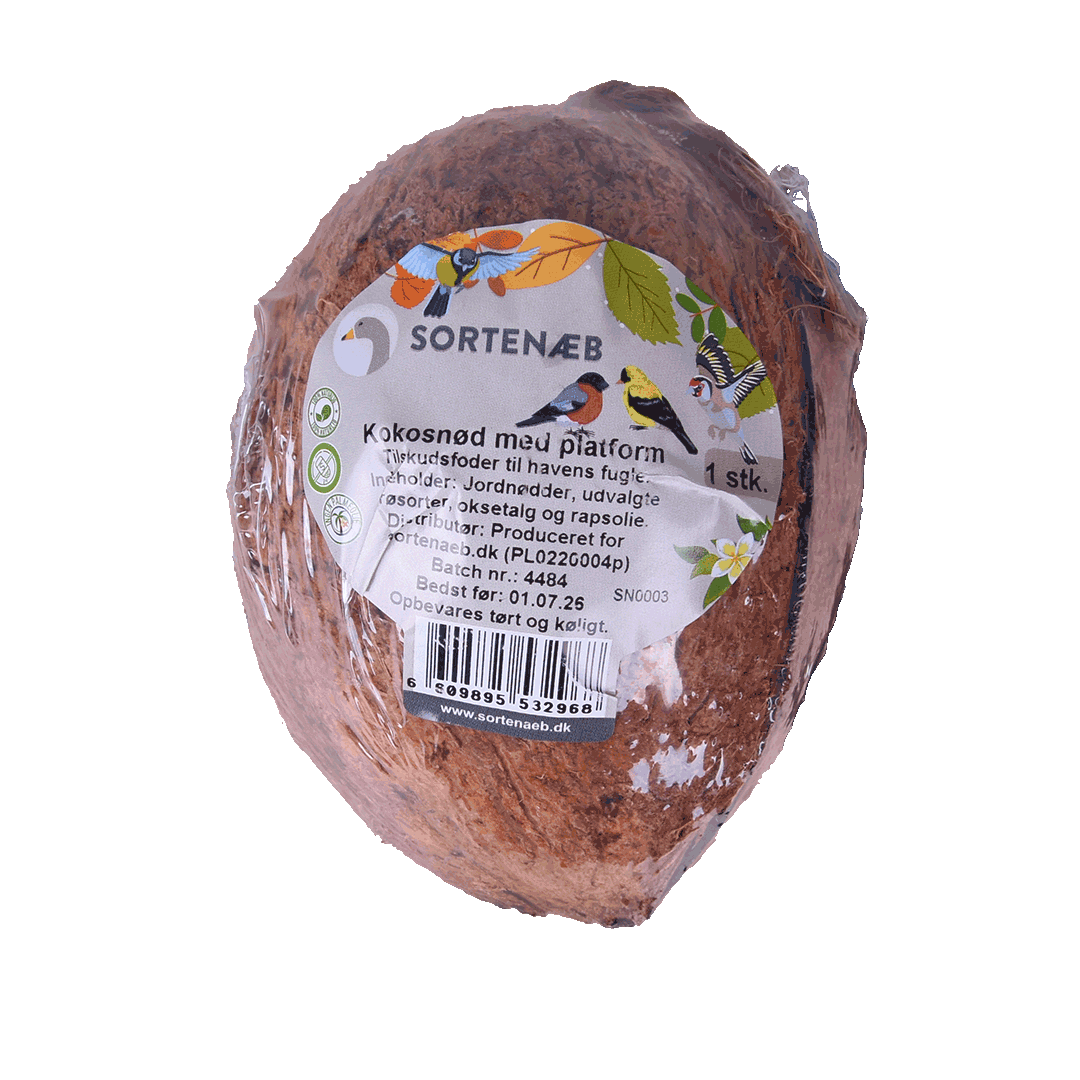 Sortenæb kokosnoot met zitstok