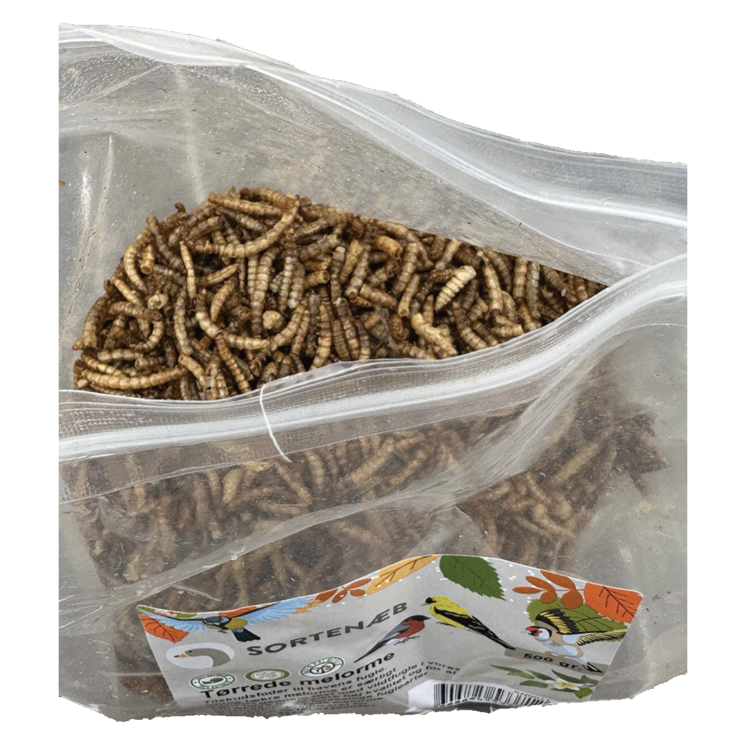 Sortenæb gedroogde meelwormen 0,5 kg