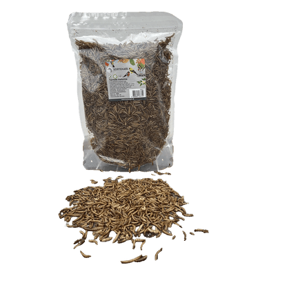 Sortenæb gedroogde meelwormen 0,5 kg